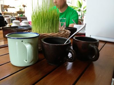 Review Coolpad Max A8 4 IMG 20160517 110409