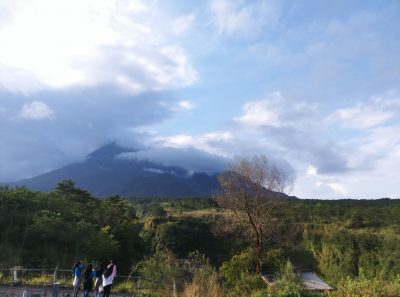 Review Coolpad Max A8 5 IMG 20160517 170839