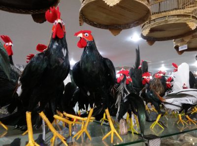 Review Coolpad Max A8 2 IMG 20160518 105714