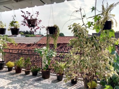 IMG 20160608 154438