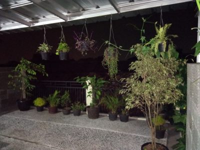 IMG 20160608 225753