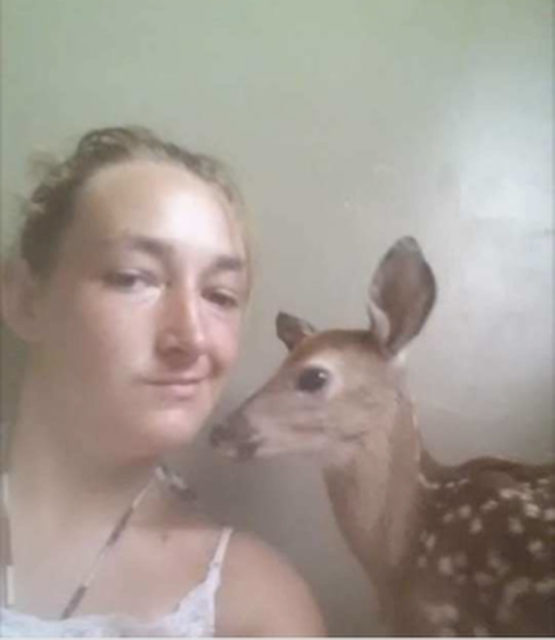 baby deer selfie