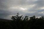 20160826 063542