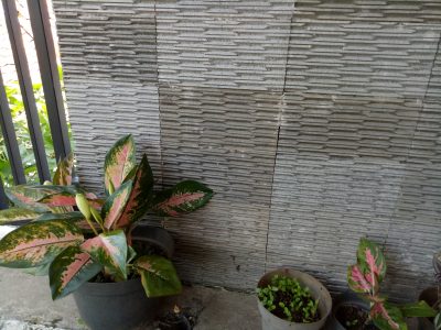 oppo detail 2