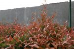 IMG 20170123 121841662