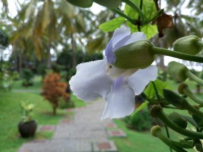 Review Infinix Zero 4: Lebih Seimbang! 9 IMG 20170116 154618