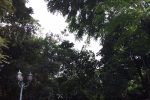 IMG 20170216 151432