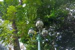 P 20170206 023828 HDR
