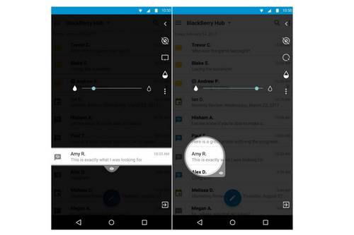 BlackBerry Privacy Shade