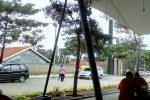 IMG 20170318 125637