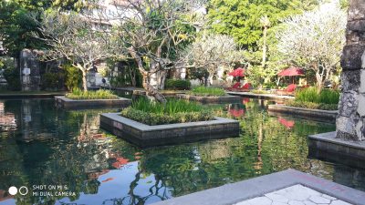 IMG 20170524 065355