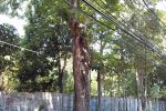 IMG 20180522 112805