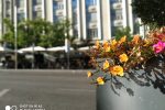 IMG 20180725 002459