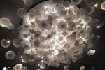 IMG 20180725 023224