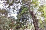 IMG 20180828 160018