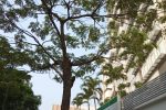IMG 20180930 154453