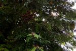 IMG 20181016 141849