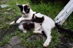 IMG 20190124 103632
