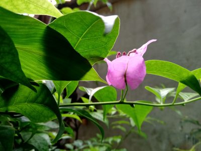 IMG 20190429 165250