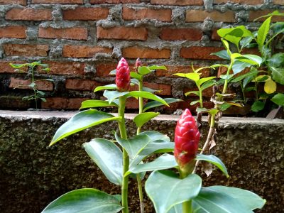 IMG 20190429 165340