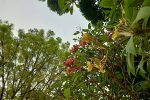 IMG20191012164420