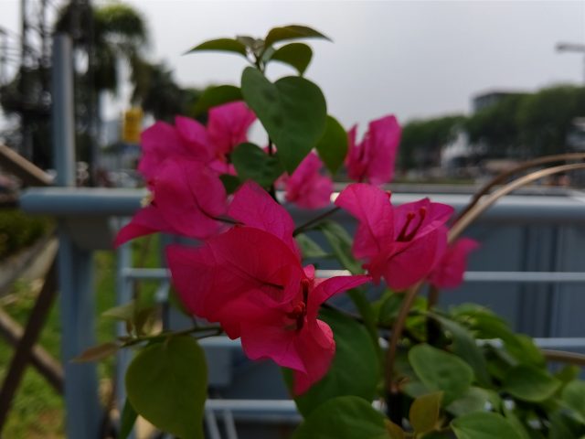 DSC 0015