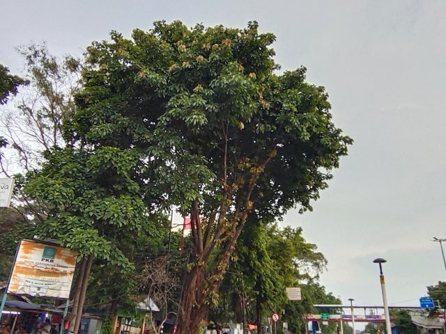 IMG 20200926 171803