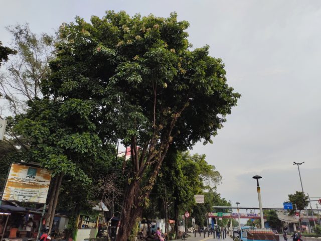 IMG 20200926 171808