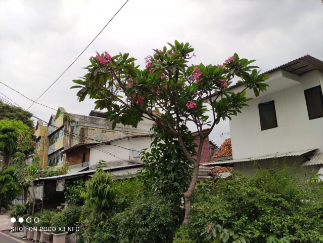 IMG 20201013 161200