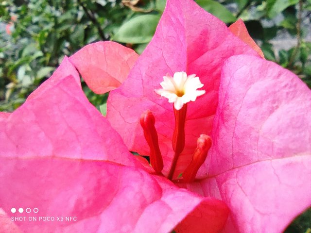 IMG 20201013 161331
