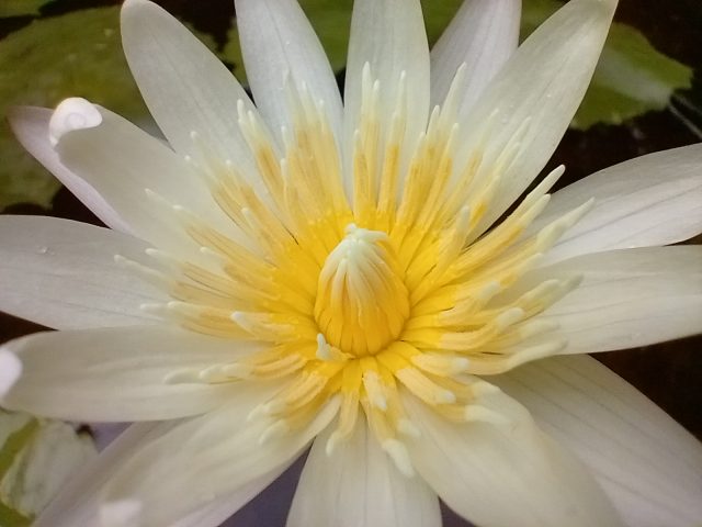 IMG 20201027 075656 157