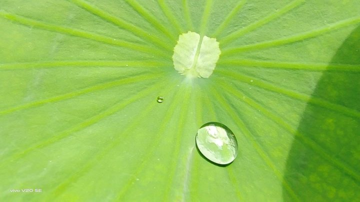 2 macro