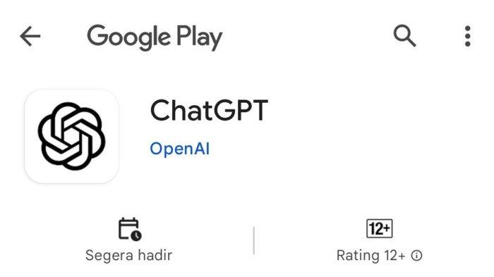 Google play store Chat GPT