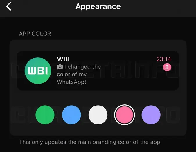 WhatsApp Beta Terbaru di iOS Punya Fitur Pilih Warna Tema