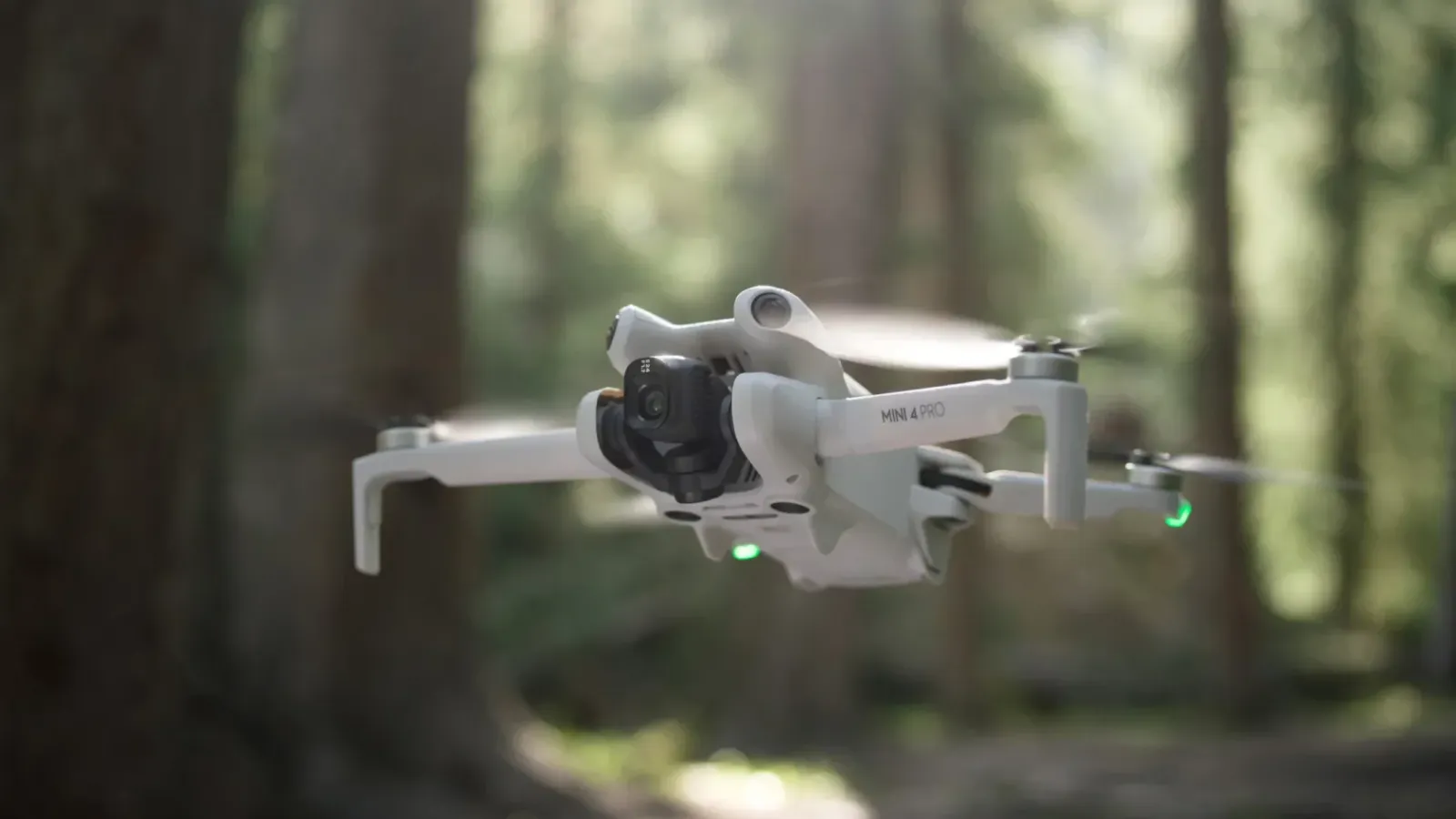 DJI-mini-4-pro-forest