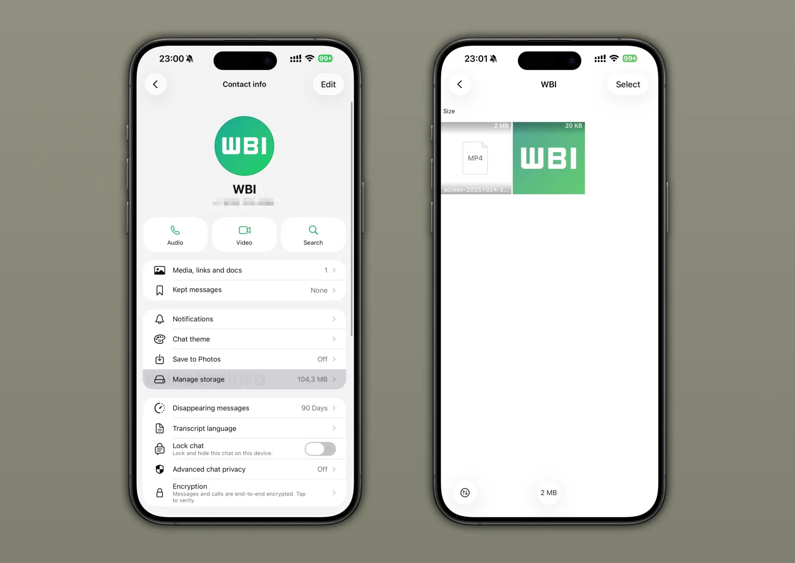 WhatsApp Kembangkan Opsi Buat Manajemen Storage Per Chat