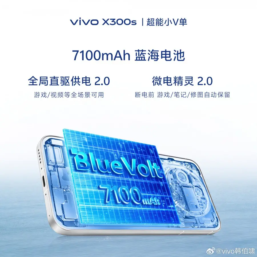 vivo X300s